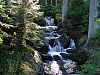DSC05939.jpg